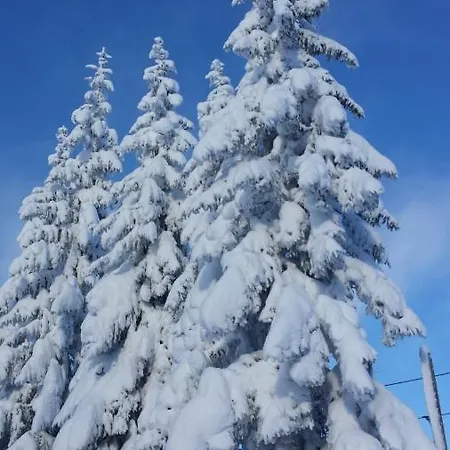 Appartamento Rettensteiner